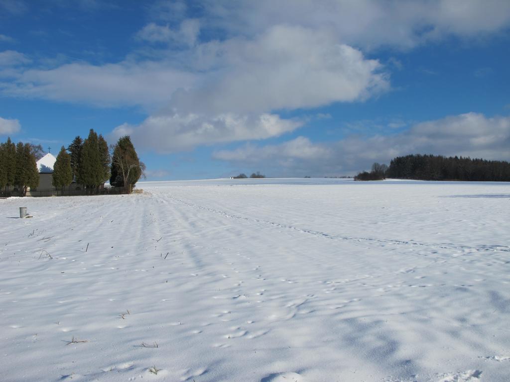 Sapana Lägenhet Pockau Rum bild